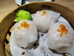 -南枝记