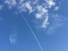 -青龙山公园