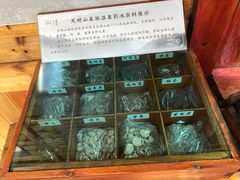 -宁海森林温泉
