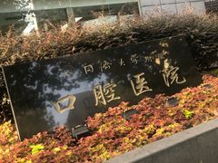 -同济大学附属口腔医院