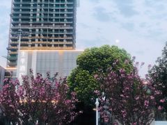 -全季酒店(合肥火车南站北广场店)