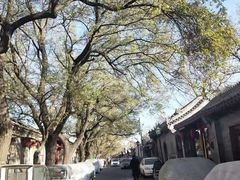 -北京国子监胡同