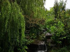 -习家池