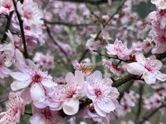 -龙湖杭州滨江天街
