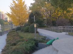 -苏州河梦清园环保主题公园