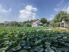 -柯岩风景区
