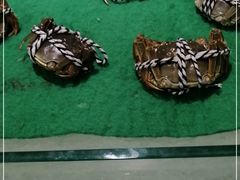 -大润发(勤业店)