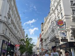 -斯蒂芬主教座堂(Stephansdom)