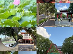 -四川大学(望江校区)