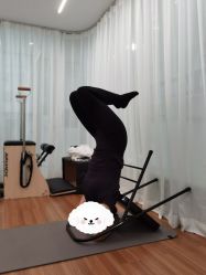 -KK瑜伽·普拉提