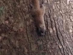 iphone_upload_pic-普陀山风景名胜区-法雨禅寺