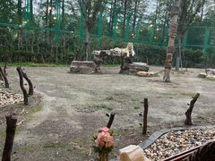 -上海野生动物园老虎餐厅