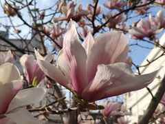 -星巴克(上海交通大学店)