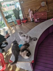 -萌宠亲子动物乐园(槐房万达店)