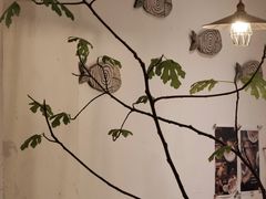 -懒鱼时光馆(沙坪坝店)