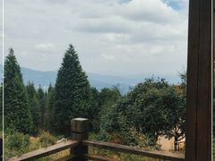 -长虫山生态公园风景林