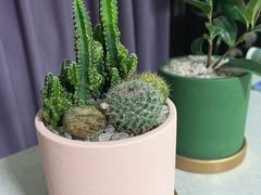 -川匠·睡眠采耳·SPA(九眼桥店)