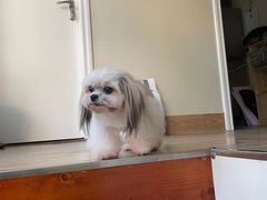 -芭比堂动物医院广州顽皮分院