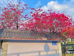 -升仙湖公园
