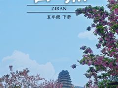 -西安博物院