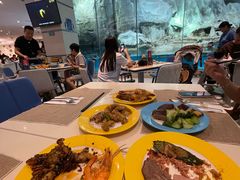 -帝企鹅自助餐厅•儿童岛•真企鹅(长隆企鹅酒店)