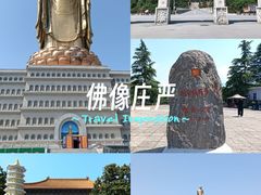-中原大佛景区