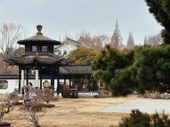 -扬州大运河文化旅游度假区·盆景园