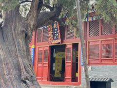 -中岳庙