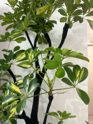 -S&G Beauty轻奢皮肤管理中心