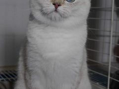 -爱侣宠医·鹦鹉专科·小型哺乳类·异宠专科(灵石路店)