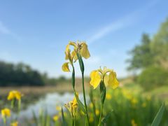 -白鹭湾湿地公园