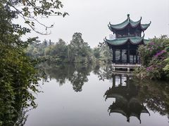 -桂湖森林公园