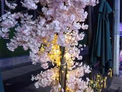 -千岛蚝高压锅生蚝·人参火锅(白云万达店)