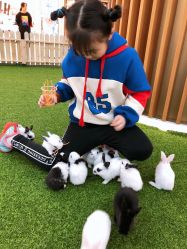 -萌宠亲子动物乐园(槐房万达店)