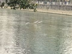 -成都市活水公园