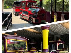 -杭州野生动物世界