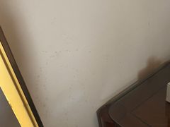 -维也纳国际酒店·西安大雁塔大唐不夜城店