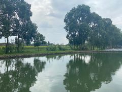 -中国天府农业博览园