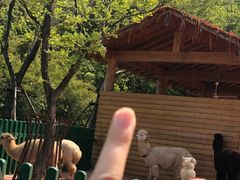 -无锡动物园·太湖欢乐园