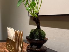 -王府茶宴(大观园总店)