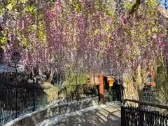 -红螺寺