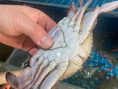 -宾朋海鲜饭庄(兴海路店)