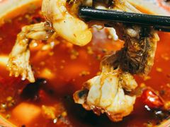 香辣盆盆牛蛙-李叔叔虾蟹大排档(青羊店)