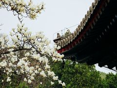 -红螺寺