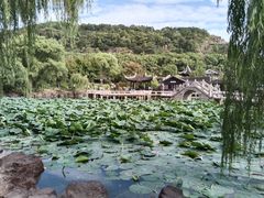 -灵岩山风景区