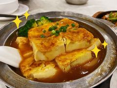 -姚林轩