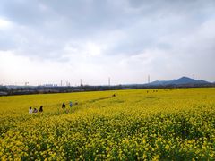 -西海岸生态观光园