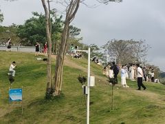 -白石龙音乐公园