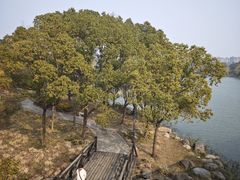 -长广溪湿地公园
