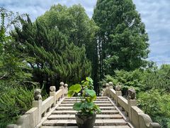 -上海醉白池公园